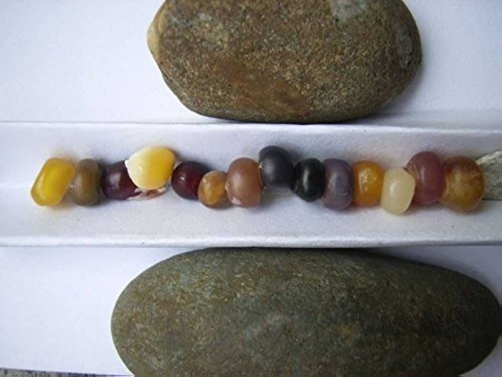 ◆限定1個◆高品質 玉石彫刻 とうもろこし　コレクション 送料無料　本物保証 2kg】バイカラーコーン/小美玉市ブランドとうもろこしjuwari